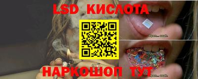 прущие грибы Кимры