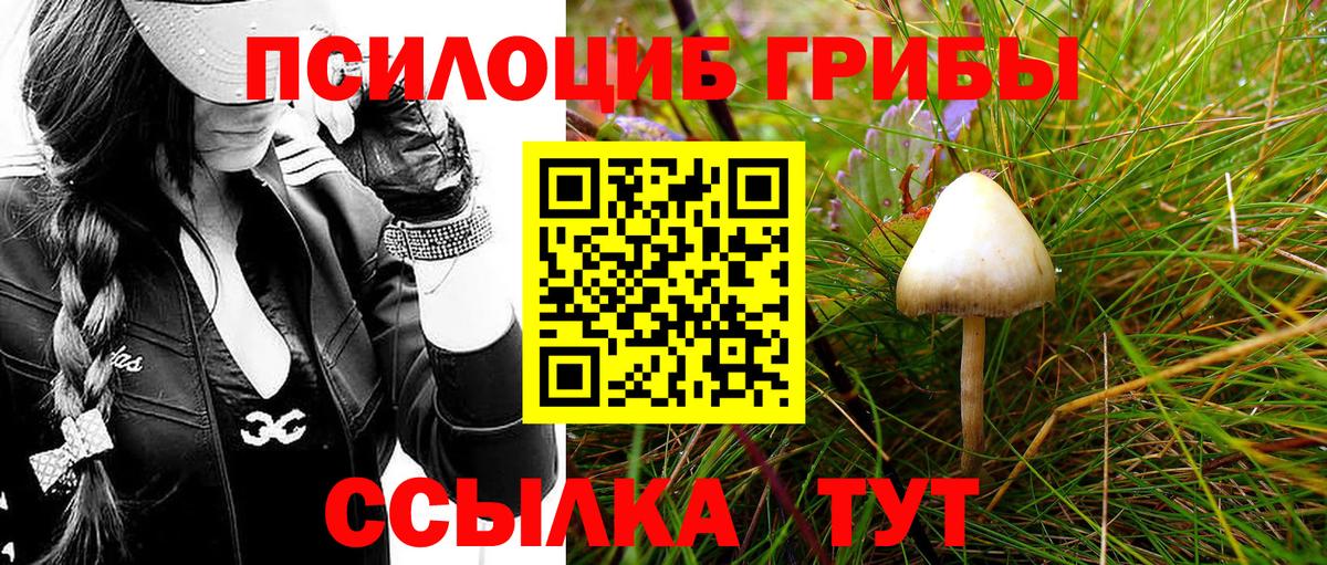 цены   Галлюциногенные грибы GOLDEN TEACHER  Псилоцибиновые грибы Psilocybe  Вход с VPN  Улан-Удэ 