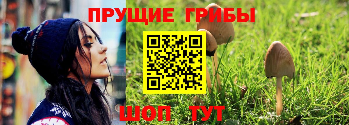 Псилоцибиновые грибы Psilocybine cubensis Улан-Удэ